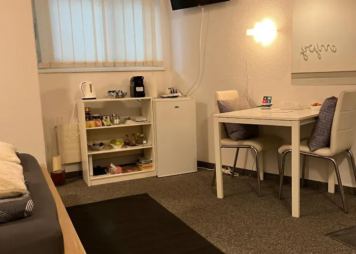 Guest David 11 Apartment St. Gallen